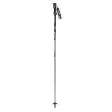Masters Speedwall Ski Poles Grey Black Lowest Price