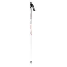 Masters Speedwall Ski Poles White Grey Lowest Price